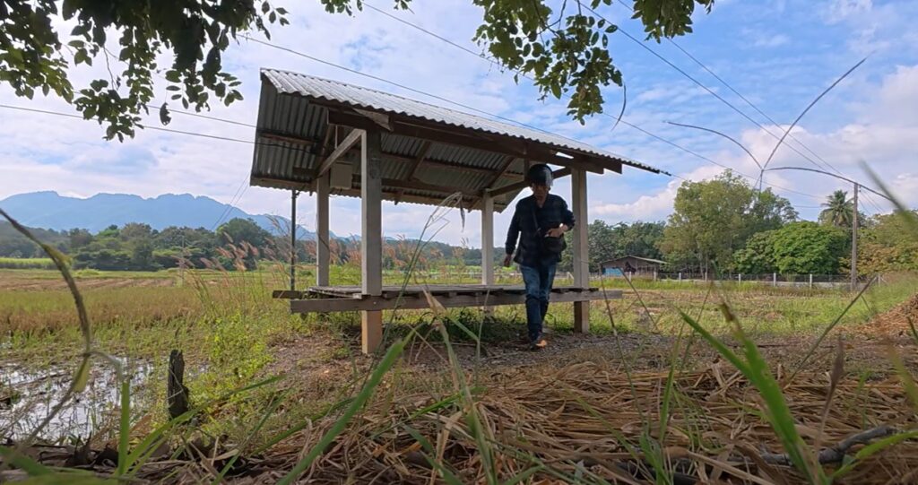 Honda Cub rider preparing to continue a peaceful journey through rural Thailand