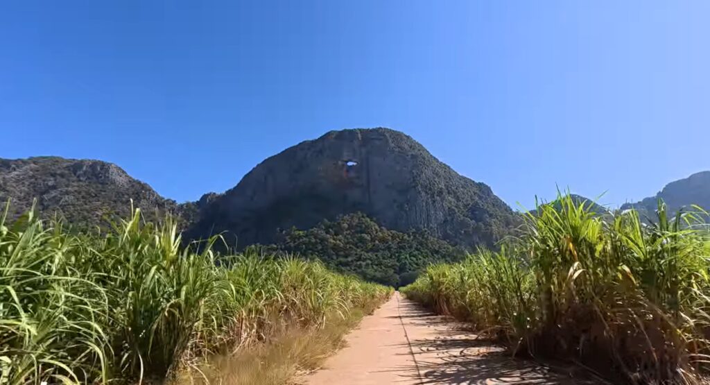 Limestone mountain rising beyond sugarcane fields in Sa Kaeo, Thailand