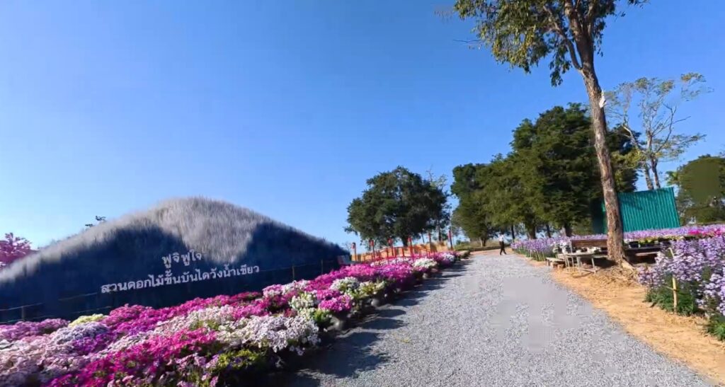 Colorful flower garden at a countryside café in Sa Kaeo, Thailand