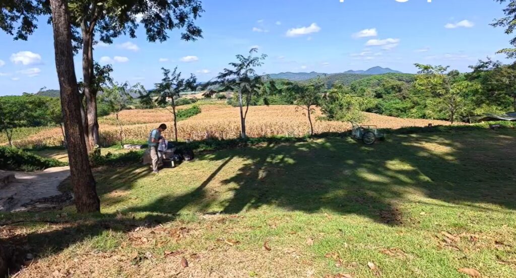 Peaceful rural campsite with wide open fields and trees in Thailand