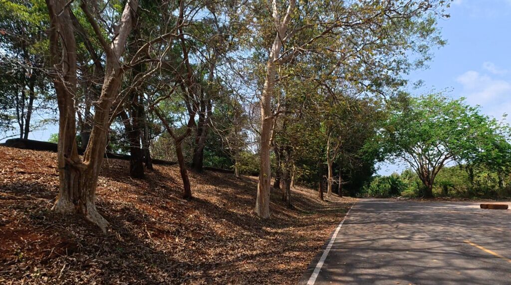 Tree-lined road inside Khai Noen Wong Fortress
