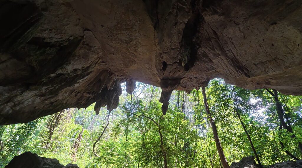Stalactites and stalagmites inside Tham Khao Cha Ang Ha Yot cave