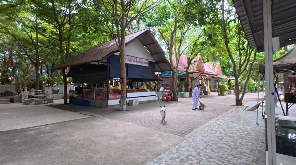 Quiet daily life in the shaded grounds of Anan Burapharam sanctuary