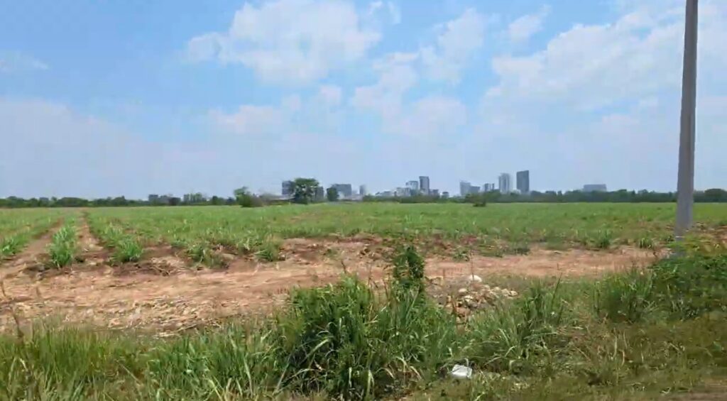 Thai Cambodian Border Riding through the open landscape of Sa Kaeo