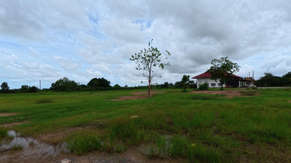 Open countryside near Wat Ratchabanlang on King Taksin's route toward Chanthaburi