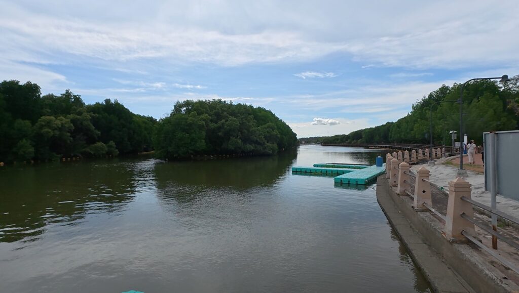 Mangrove-lined waterway near the mouth of the Rayong River