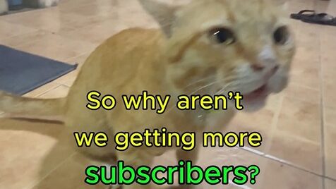 Yellow complains to Boss about subscribers after Black leaves on a classified patrol in Yellow Cat Story 68