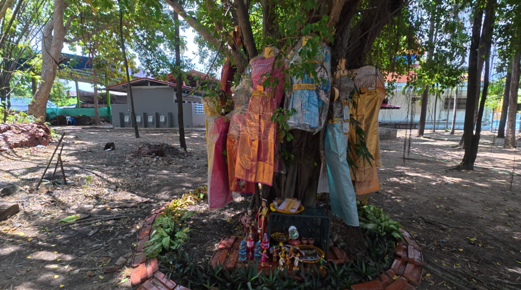 Traditional dresses and offerings placed around a sacred tree at Wat Tan Lom