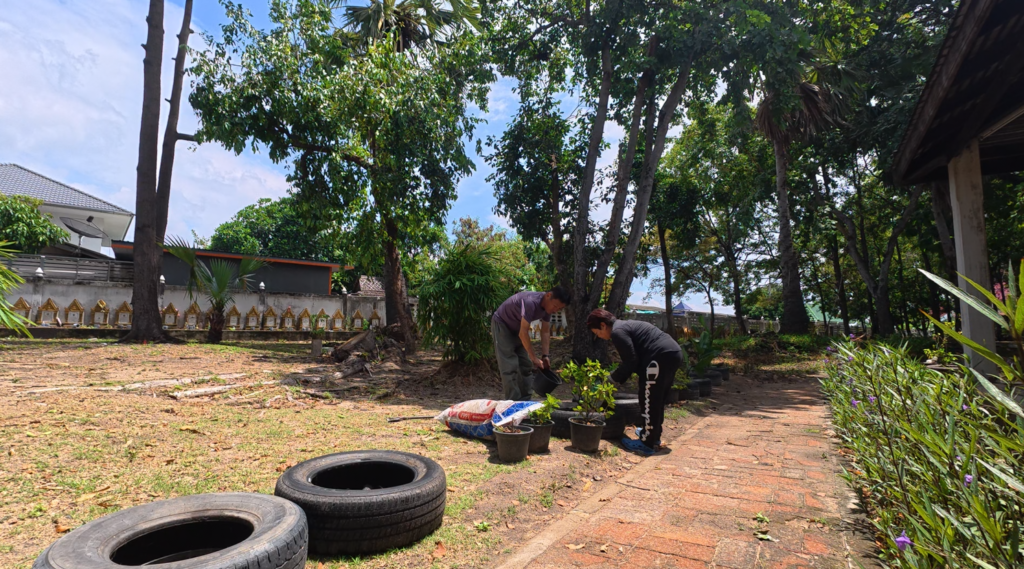 Planting a young tree with the caretaker at Wat Tan Lom