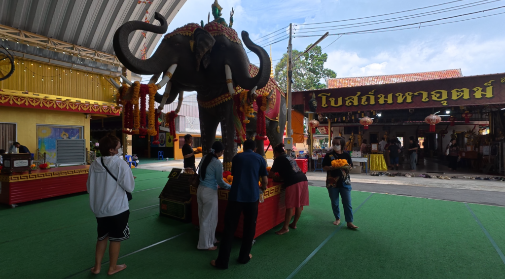 War elephant display recalling King Taksin’s eastern march at Wat Tao Pun